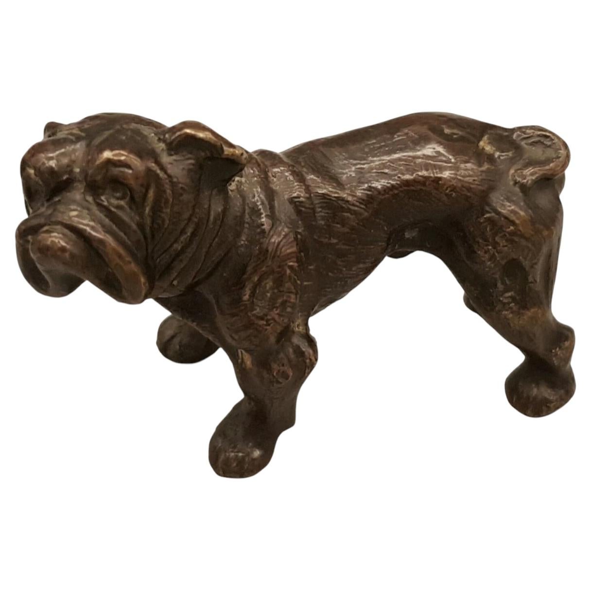 Austrian Cold-Painted Bronze Boxer Dog Sculpture, Early 20th Century