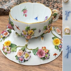 Meissen Porcelain Encrusted Floral Footed Cup and Saucer, circa 1825