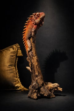 Large Red Iguana Sculpture on Natural Driftwood, Contemporary