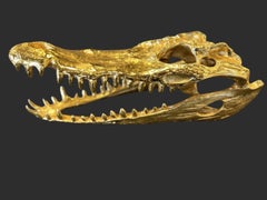 Golden Crocodile Skull Sculpture in 24KT Gold Plated