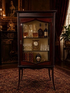 Antique Edwardian Mahogany & Satinwood Inlaid Glazed Display Cabinet Vitrine