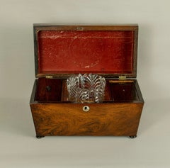 Regency Rosewood Sarcophagus Tea Caddy with Cut Glass Mixing Bowl, circa 1820