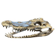 Large Silver Crocodile Skull Sculpture, Gothic Curio
