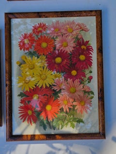 Set of Six British Botanical Prints in Burr Walnut Frames, circa 1930