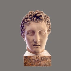 Vintage Apollo Bust After the One in the British Museum, London