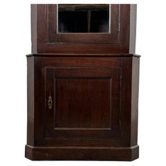 19th Century English Antique Oak Glazed Corner Cabinet