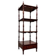 Fine 19th Century Antique English Mahogany Cabinet with Shelves