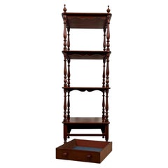 Fine 19th Century Antique English Mahogany Cabinet with Shelves