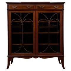 Fine 19th Century Antique English Mahogany Glazed Display Cabinet Vitrine