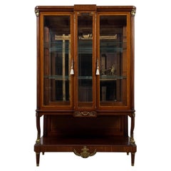 19th Century Antique French Mahogany Glazed Display Vitrine Cabinet