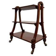 Fine Antique 20th Century Small Mahogany Trolley Bookcase