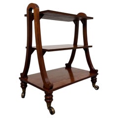 Fine Antique 20th Century Small Mahogany Trolley Bookcase