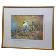 Michael Woodcock, Grey Jay, Wildlife Study Watercolour Painting Mid Century