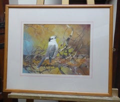 Michael Woodcock, Grey Jay, Wildlife Study Watercolour Painting Mid Century