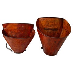 Rare Antique Pair of Antique French Copper Châteauneuf-du-Pape Grape Hods