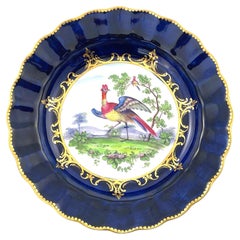 Antique Chamberlain Worcester “Fancy Birds” Porcelain Dish, circa 1840