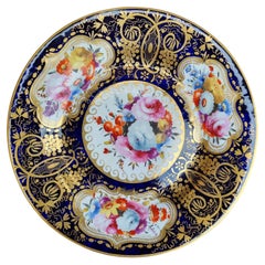 Antique Early Coalport Botanical Porcelain Display Plate, circa 1820