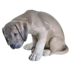 Antique Royal Copenhagen Porcelain Labrador Puppy Figurine, Pre-1934