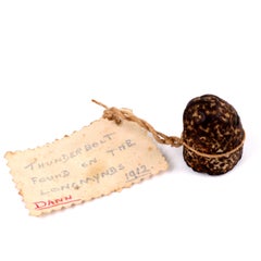 Shropshire 'Thunderbolt' Concretion Specimen with Long Mynd Provenance Label