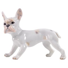 Figura de un bulldog francés de porcelana de Augarten Viena, obra de Robert Ullmann, modelo 1689