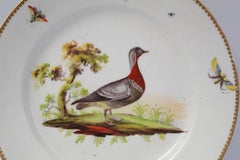 Assiette ancienne en porcelaine de Coalport, peinte à la main, représentant un canard sauvage et des insectes
