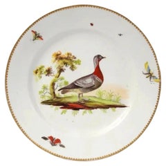 Assiette ancienne en porcelaine de Coalport, peinte à la main, représentant un canard sauvage et des insectes