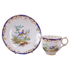 Coalport Porcelain Tea Cup and Saucer, Exotic Birds Attributed to John Randall