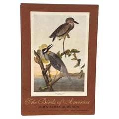 „The Birds of America“: Die chromolithografische Ausgabe von John James Audubon