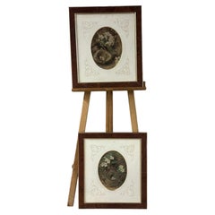 Antique Pair of Framed Oval Botanical and Bird's Nest Prints in Burr Walnut
