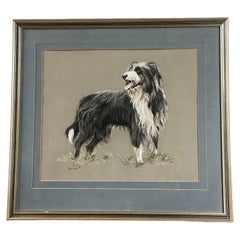 Peter Barker, Original Framed Pastel Study Drawing of a Bearded Collie Dog