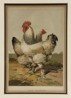 Leighton Brothers Framed Antique Poultry Chromolithographs After Harrison Weir