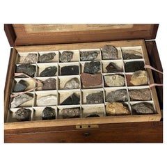 Victorian James Tennant Antique Mahogany Fossil and Mineral Specimen Cabinet