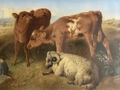 D'après George W. Horlor, grande chromolithographie encadrée représentant des veaux et des moutons