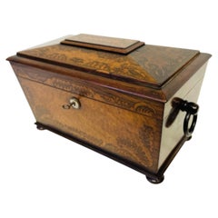 George IV Gonçalo Alves and Amboyna Marquetry Sarcophagus Tea Caddy ca. 1825