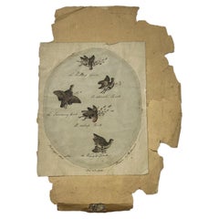 Attributed to Anna Maria Stannard, Pen and Ink Study of Shot Partridges