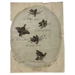 Attributed to Anna Maria Stannard, Pen and Ink Study of Shot Partridges