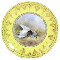 Plato de porcelana de Cauldon, pintado por J. Birbeck Snr., con un pato de lomo blanco y un correlimos menor