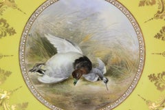 Plato de porcelana de Cauldon, pintado por J. Birbeck Snr., con un pato de lomo blanco y un correlimos menor