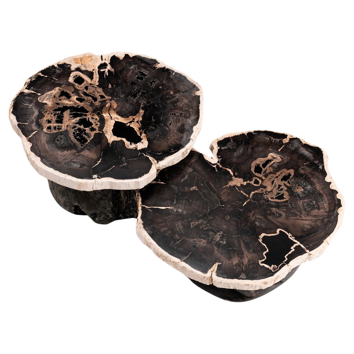 Around The Sun • Organic Form Petrified Wood Nesting Coffee Tables by Odditi For Sale