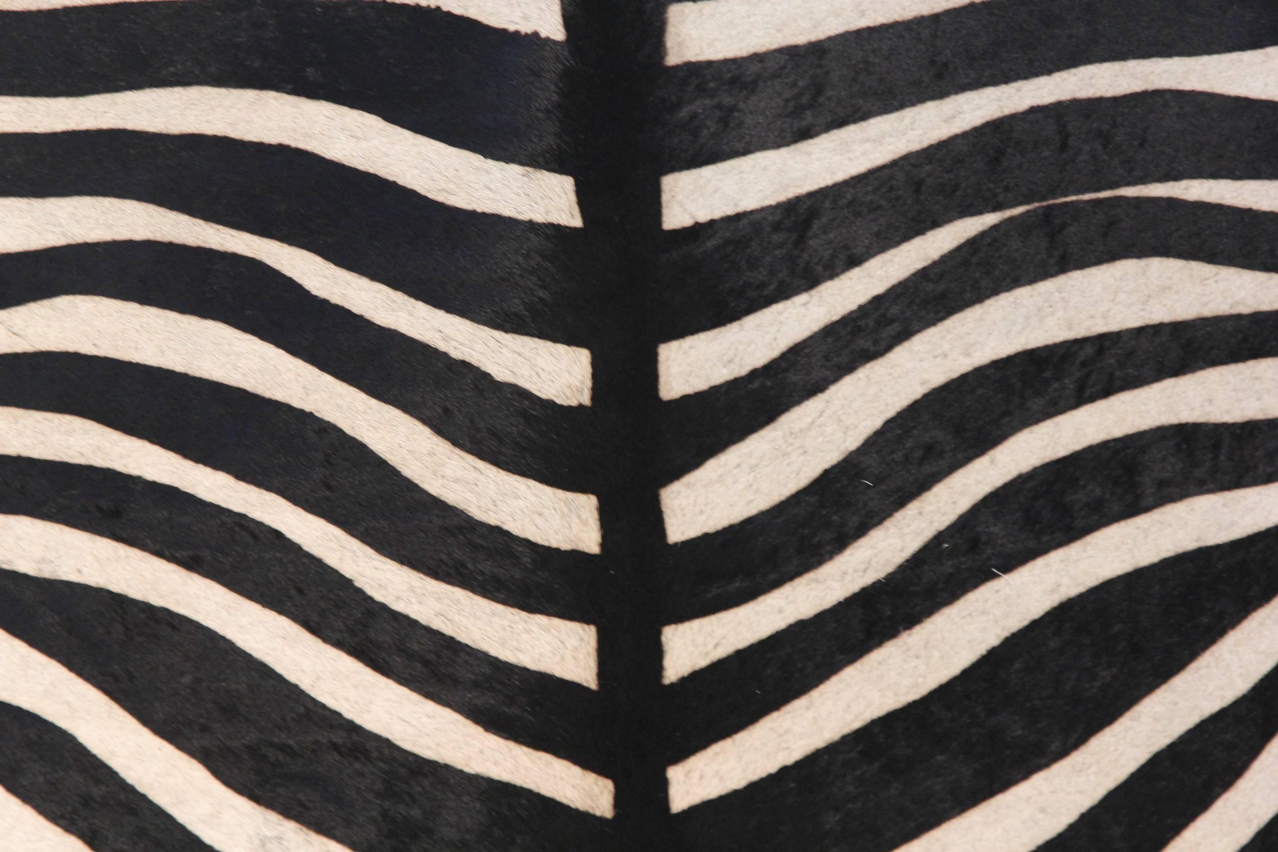 Incredible Pair of Zebra Print Cowhide Chairs 3