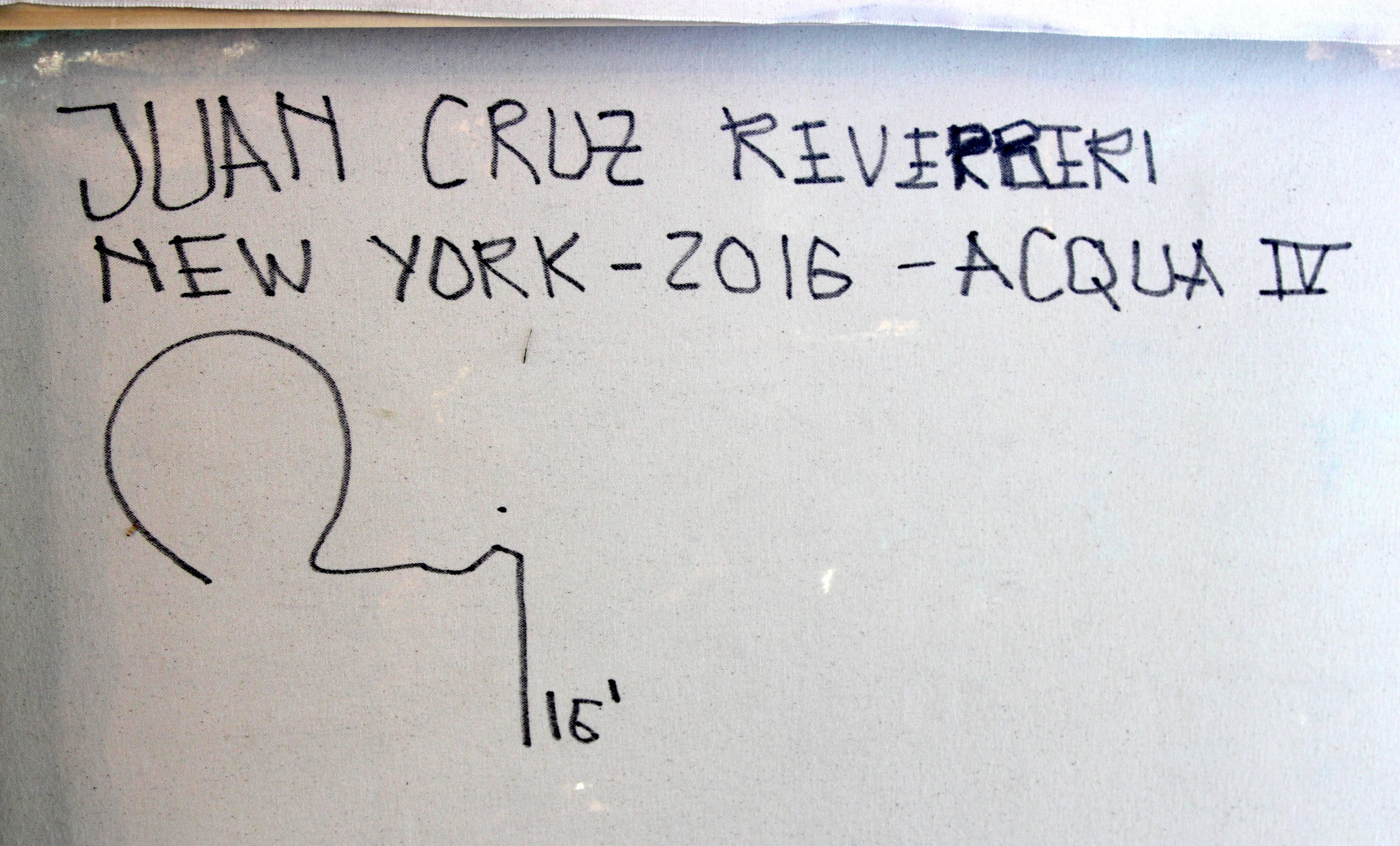 Juan Cruz Reverberi Acqua IV In Excellent Condition For Sale In Bridport, CT