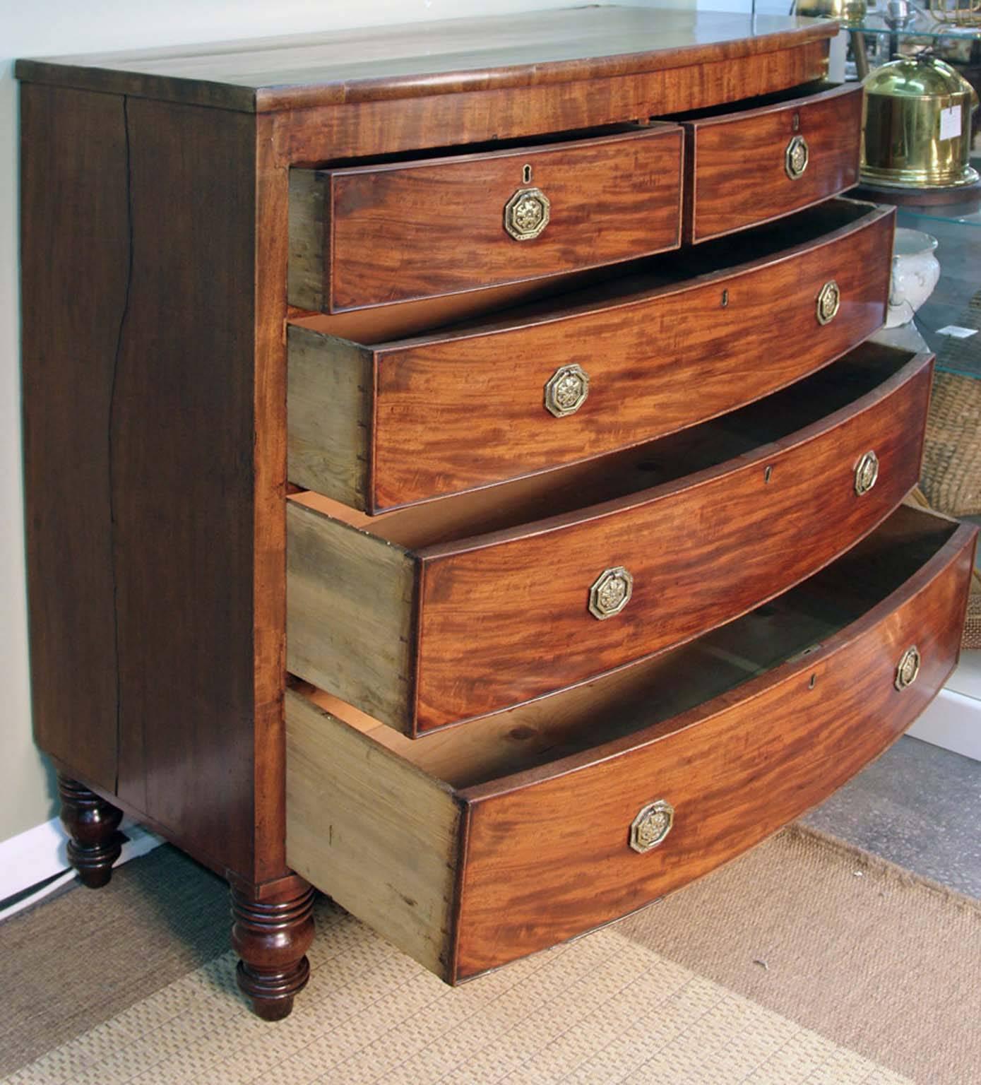 English Mahogany Bow Fronted Chest of Drawers In Good Condition For Sale In Bridport, CT