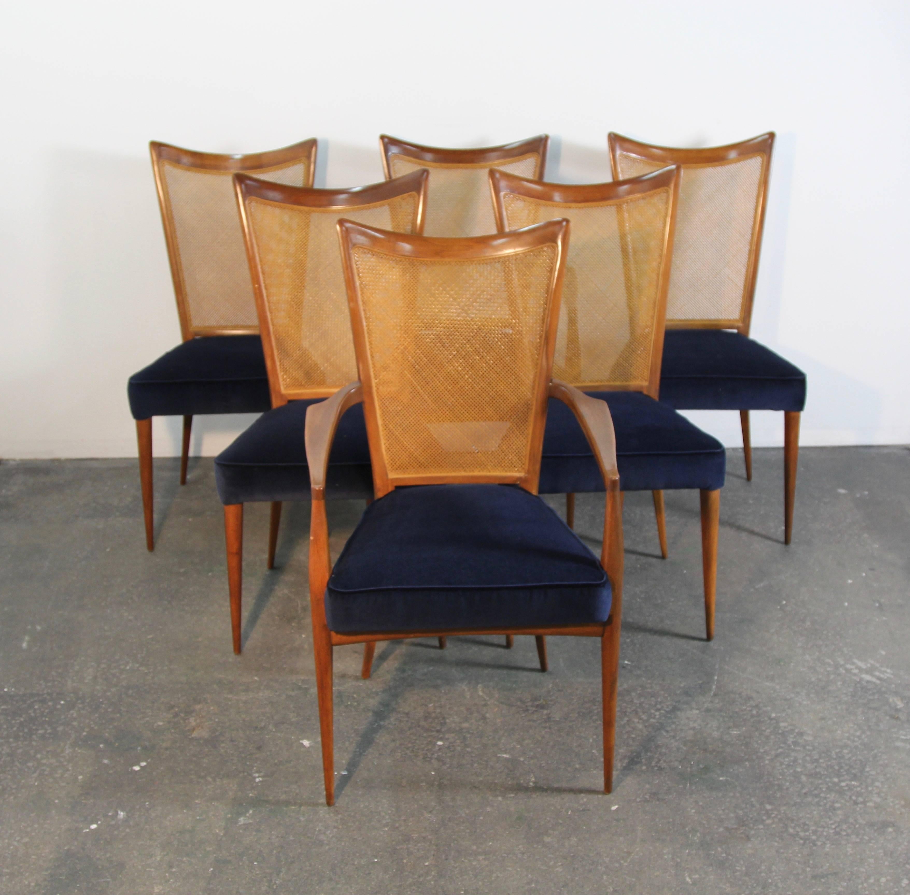 Set of six Erno Fabry dining chairs, newly upholstered with navy velvet seats. Caned back, two armchairs and four side chairs, amazing style.