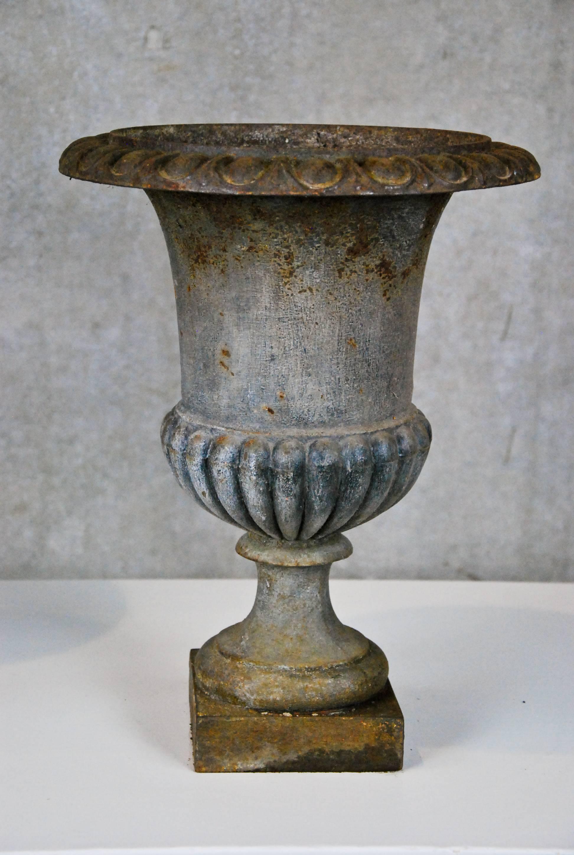 Late 19th Century 19th century Cast iron French urns
