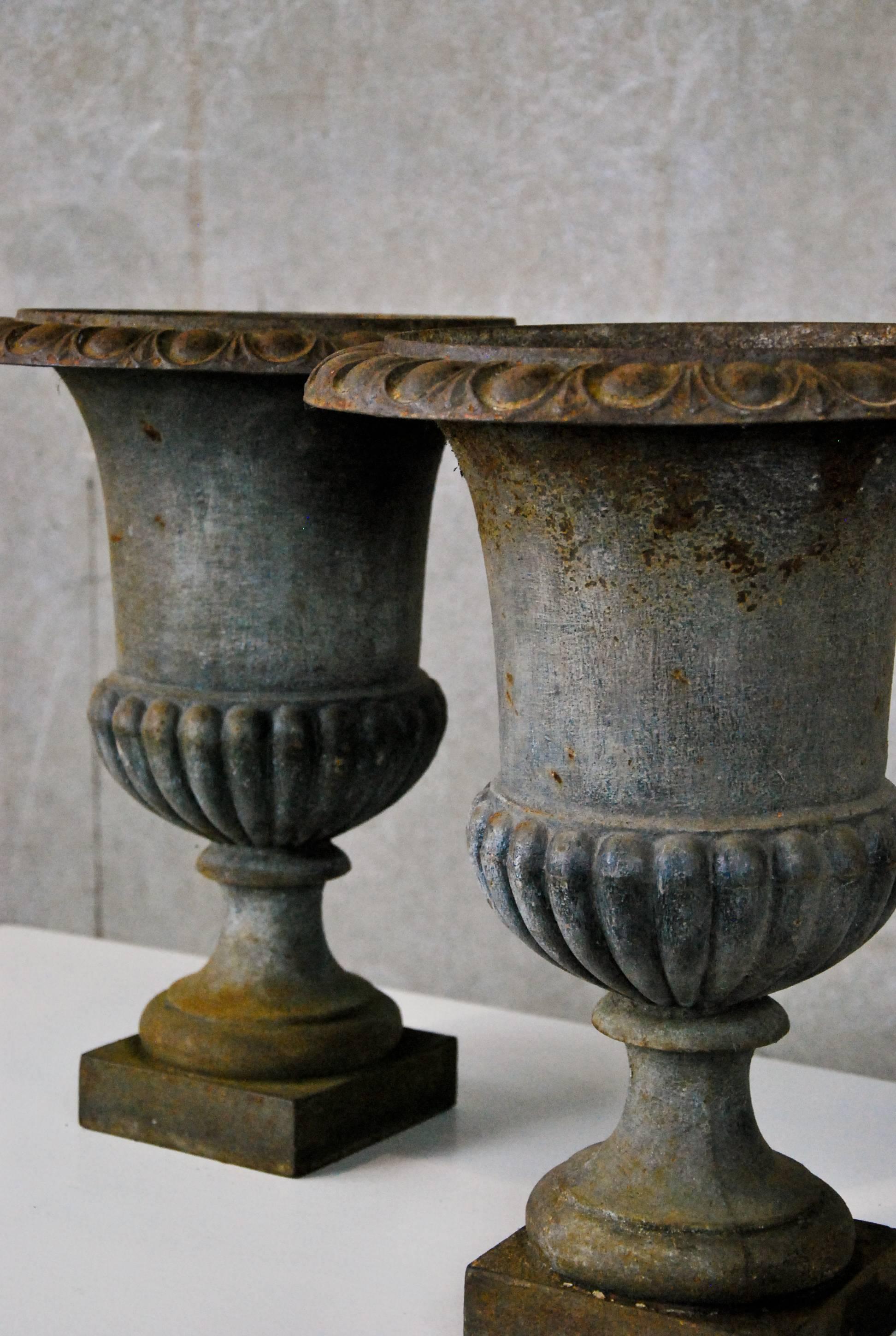Pair of French urns brought to Canada in 1980 , showing very nice patina no cracks or breaks.