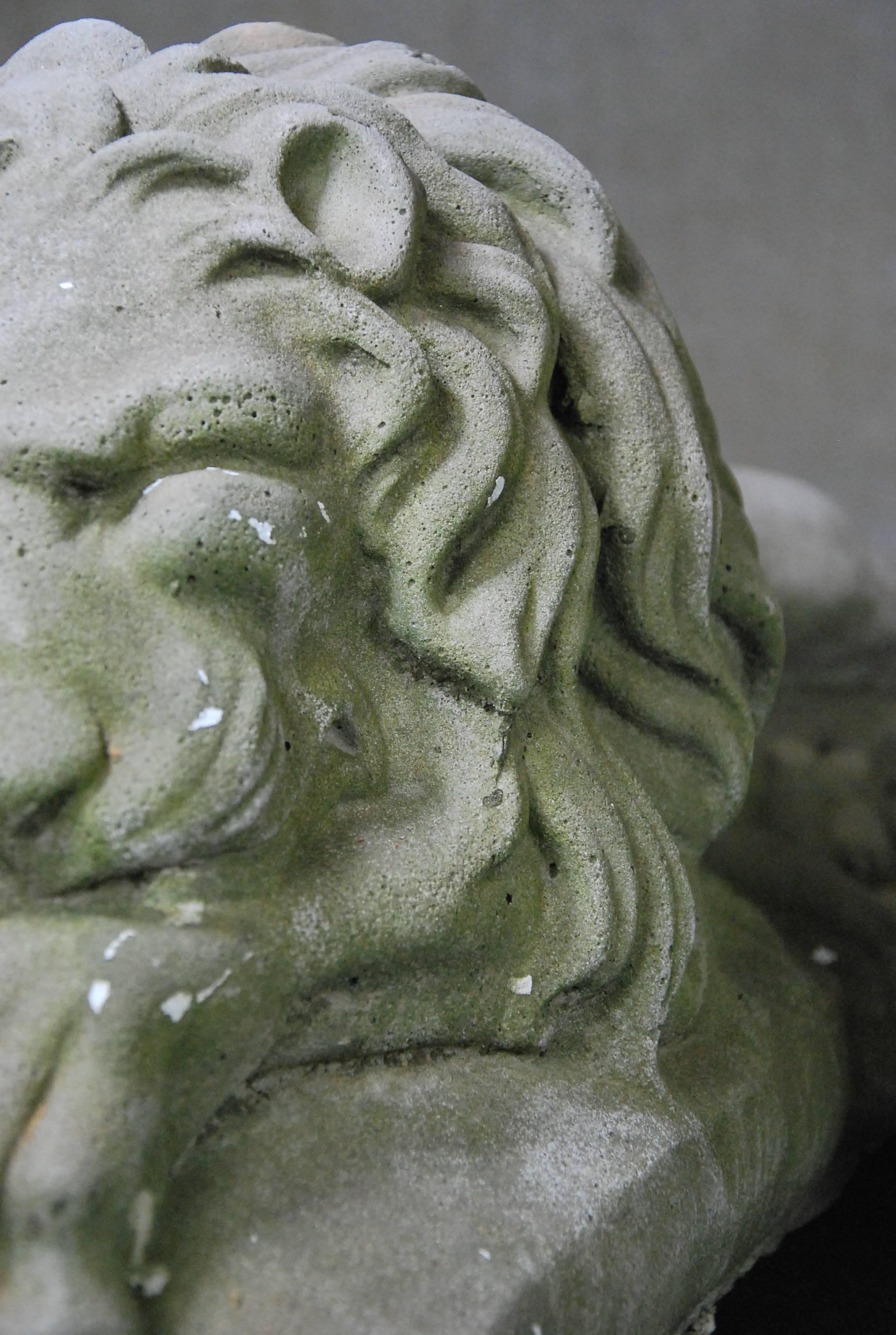 Pair of Early 20th Century Garden Cast Concrete Lion Statues In Good Condition In Surrey, BC