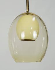 Ostrich Egg in Amber Glass Pendant Light