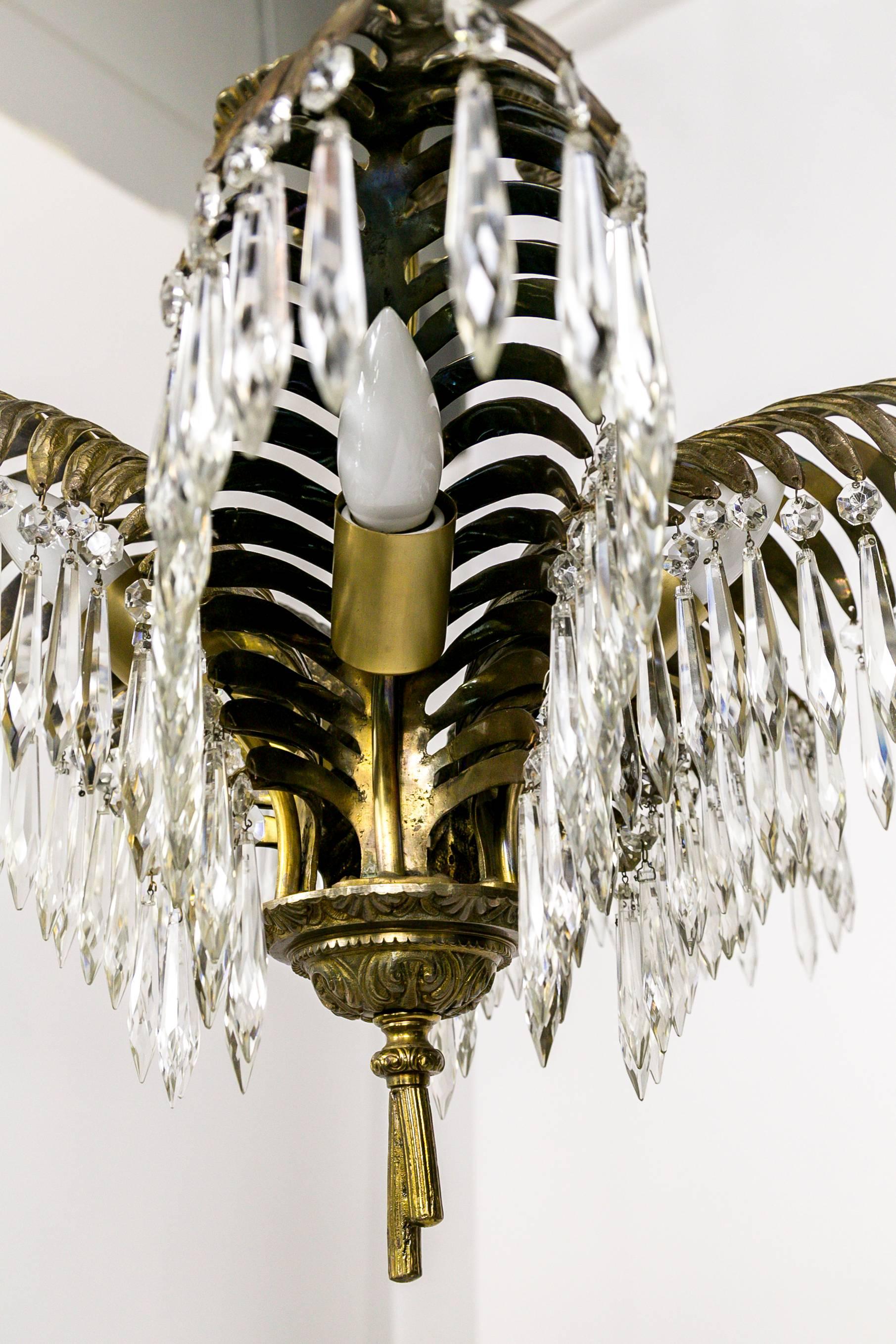 Palm Frond and Crystal Chandelier 1