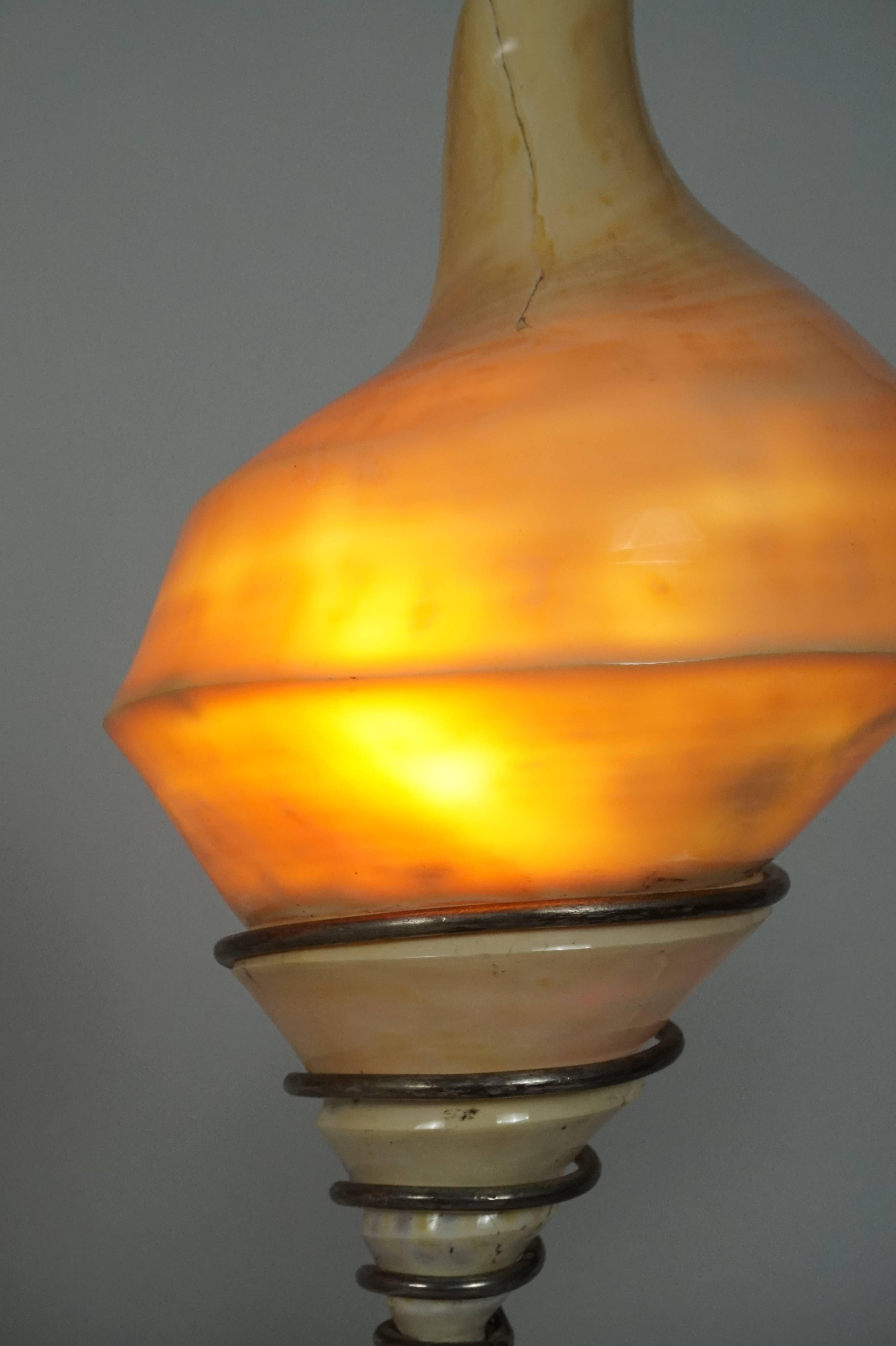Pair of Sea Shell Lamps 3