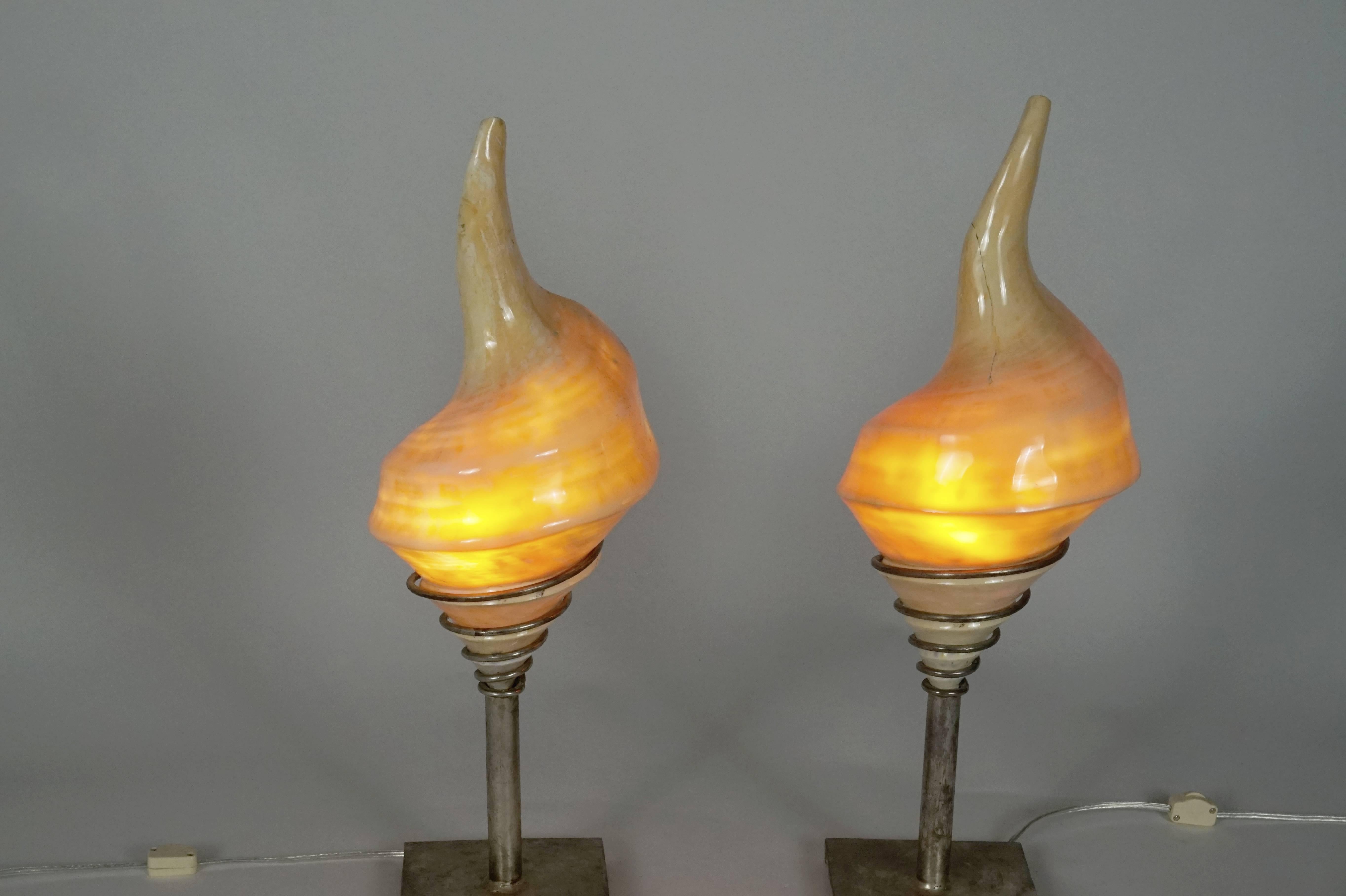 Pair of Sea Shell Lamps 2